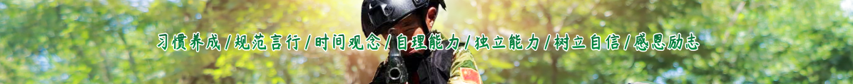 主要课程banner